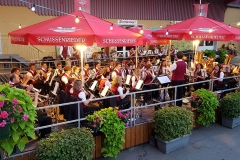 lj-14-07-18-schussenried_01