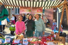 div-2023_Musikball_46