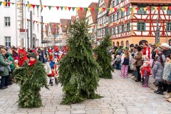 mh_2026_Umzug-Mengen_35