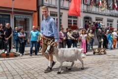 mh_2024_Fuhrmannstage_181