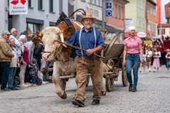 mh_2024_Fuhrmannstage_183