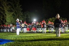 Landesfesttage Weinheim 2015 Samstag