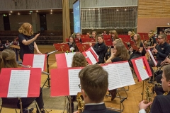 2017-jahreskonzert-03