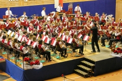 2017-jahreskonzert-13