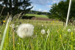 ev_JuKaMe-Huette_2025_12