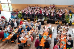 Kastanienfest Fulgenstadt 2025