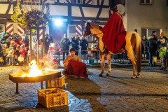 mh_2024_Martinsumzug_27