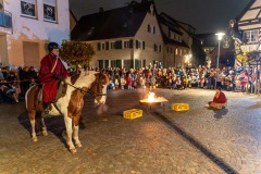 mh_2024_Martinsumzug_28