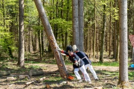 mh_2026_Maibaumstellen_02