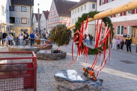 mh_2026_Maibaumstellen_13