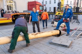 mh_2026_Maibaumstellen_14