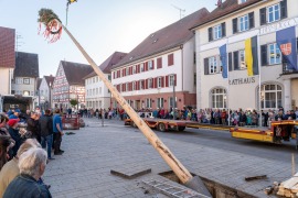 mh_2026_Maibaumstellen_19