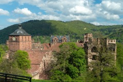 mh-2023_Musikausflug-Heidelberg_63