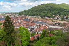 mh-2023_Musikausflug-Heidelberg_65