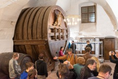 mh-2023_Musikausflug-Heidelberg_71