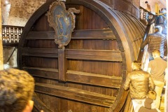 mh-2023_Musikausflug-Heidelberg_73