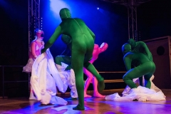 2017-Musikball-088