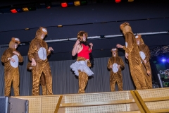 sk-02-18-musikball_33