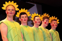 Musikball 2019