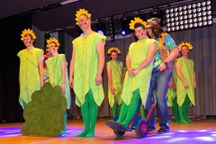 mh-2019-musikball_19