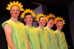 mh-2019-musikball_20