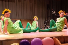 mh-2019-musikball_22