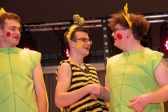 mh-2019-musikball_23