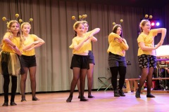 mh-2024_Musikball_025