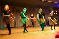 mh_ms_2025_Musikball_044