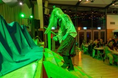 mh_ms_2025_Musikball_054