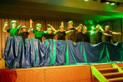 mh_ms_2025_Musikball_057