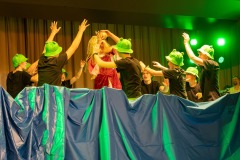 mh_ms_2025_Musikball_058