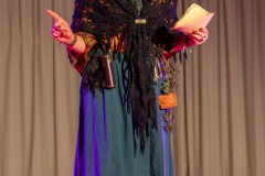 mh_ms_2025_Musikball_059