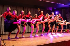 mh_ms_2025_Musikball_062