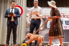 mh_ms_2025_Musikball_073